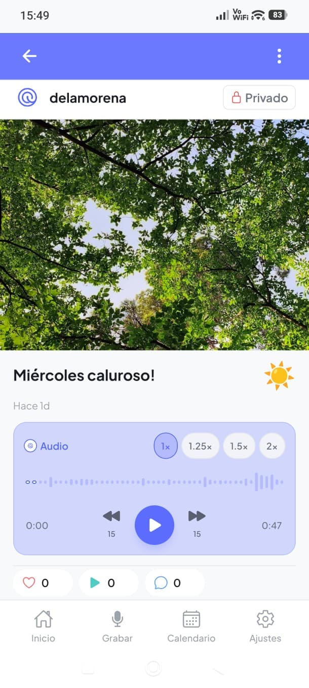 Seiday — Detalle de Seiday